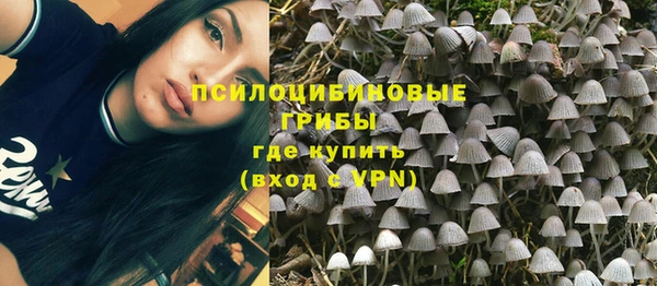 герыч Алексин