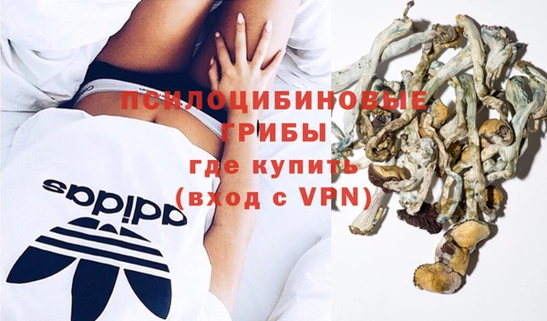 герыч Алексин