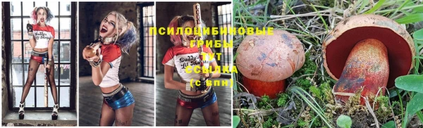 хмурый Алексеевка