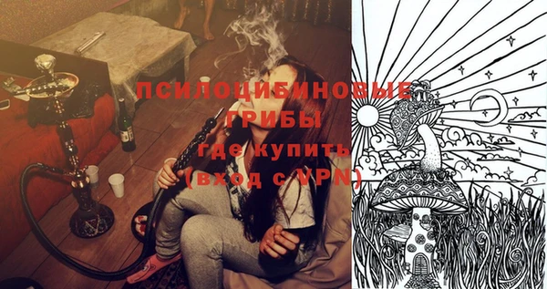 молекула духа Алзамай